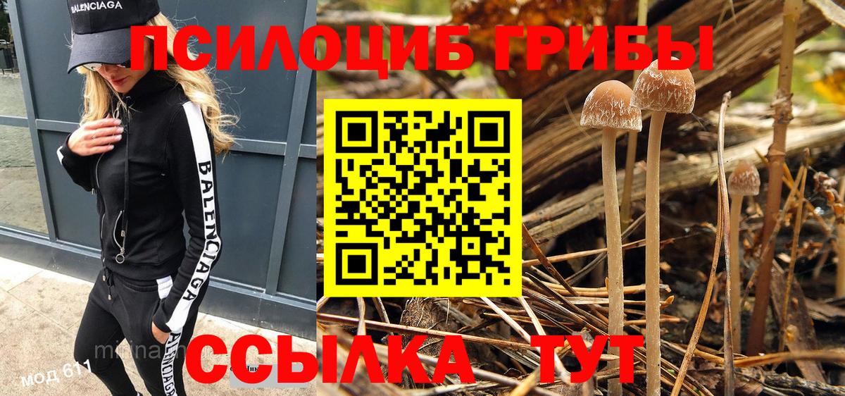 Галлюциногенные грибы мицелий Саров