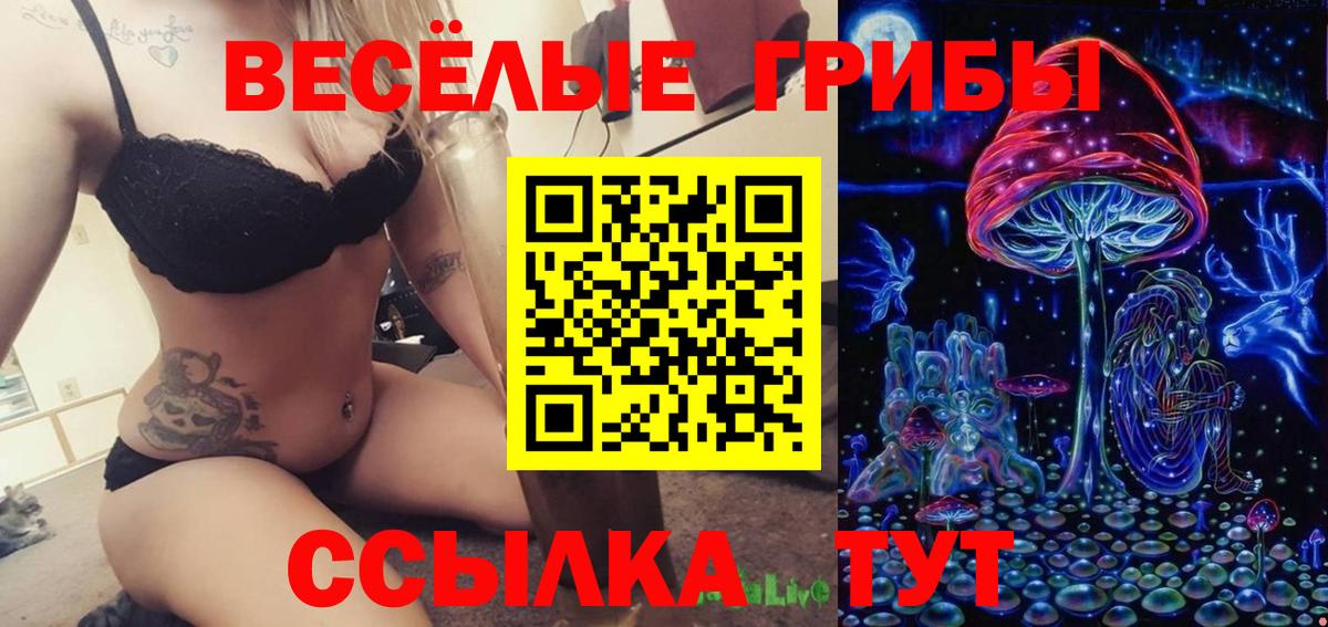 Саров  закладка  Псилоцибиновые грибы мухоморы  Вход с VPN  Псилоцибиновые грибы прущие грибы 